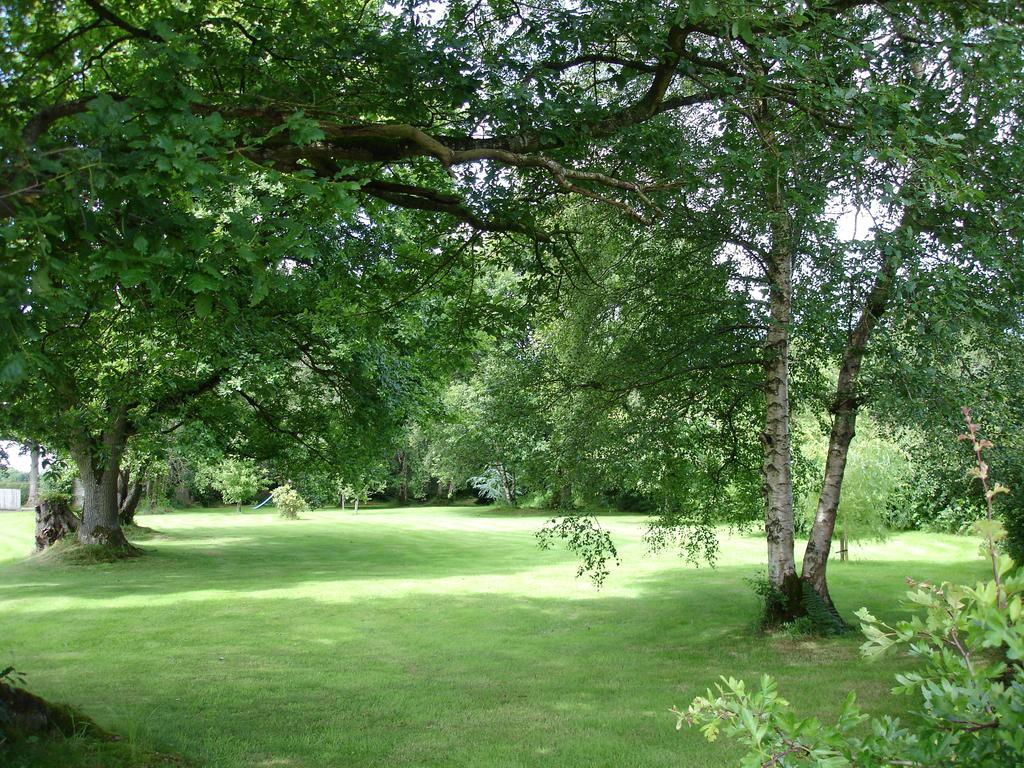 Country Garden House Holiday Homes Ballymoney Zewnętrze zdjęcie